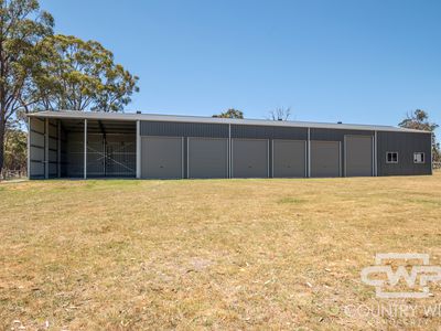 954 Bullock Mountain Road, Glen Innes
