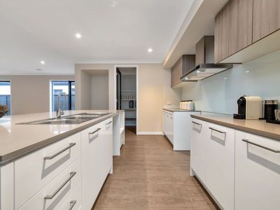 27 Bromeliad Street, Clyde North