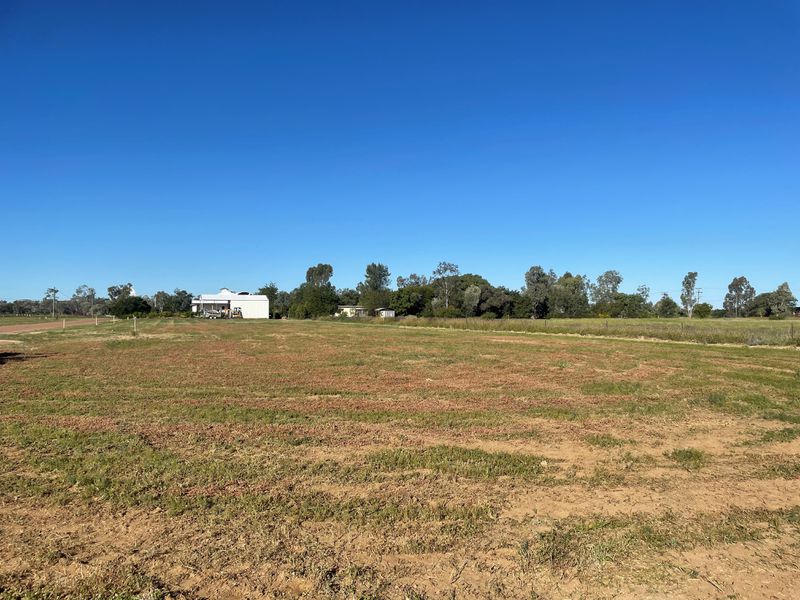 6 Little Curlew Court, Longreach