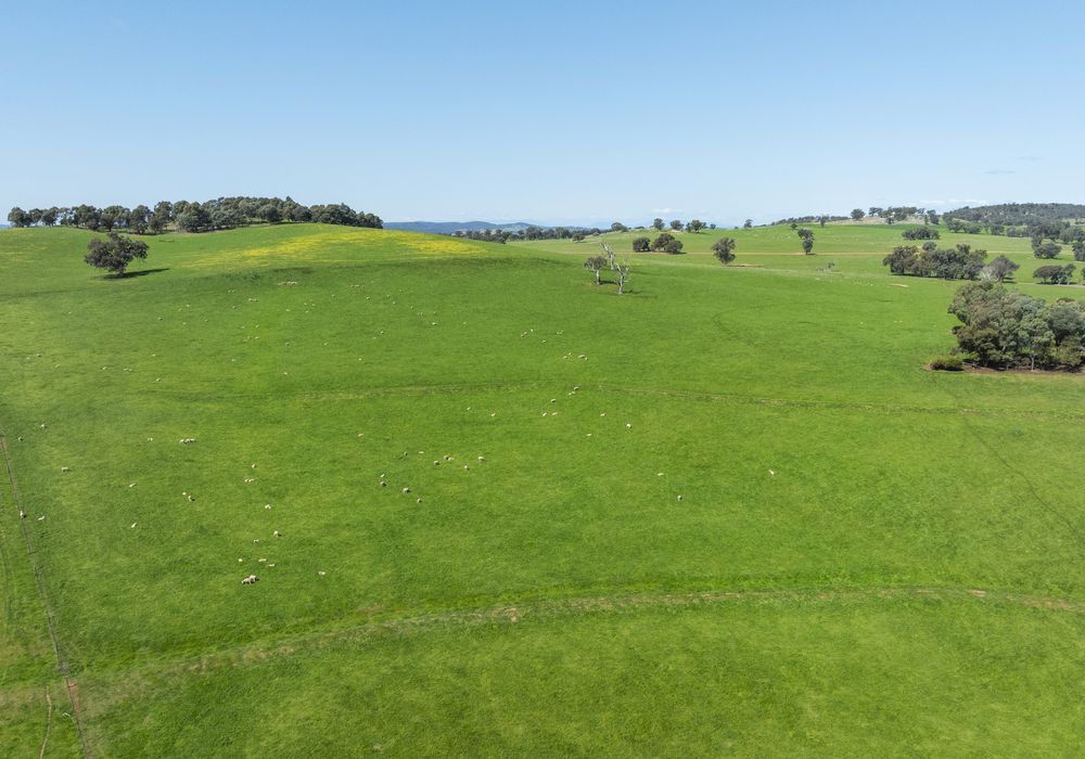 2056 Benalla-Yarrawonga Road, Bungeet West