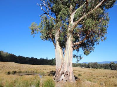 Lot 2 Gums Road, Mountain River