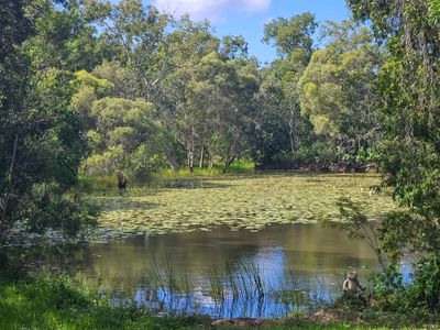 6 Ironwood Avenue, Cooktown