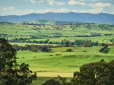 315 Wairere Road, Boorolite