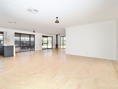 5 Diamondbird  , Baldivis