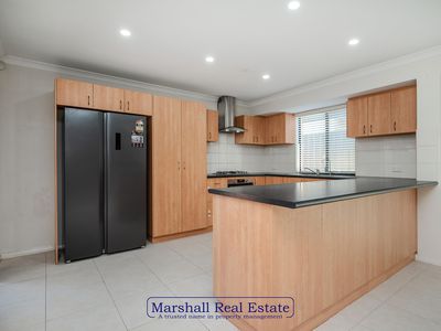 1 Willard Cct, Banksia Grove