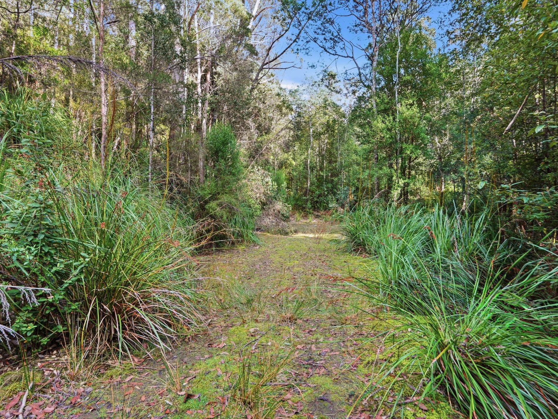 111 Underwoods Road, Nicholls Rivulet