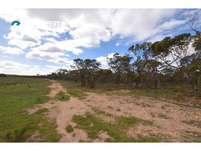 146 Black Hill Flood Road, Cambrai