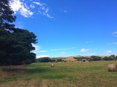 Lot 1, 530 Maroondah Highway, Merton