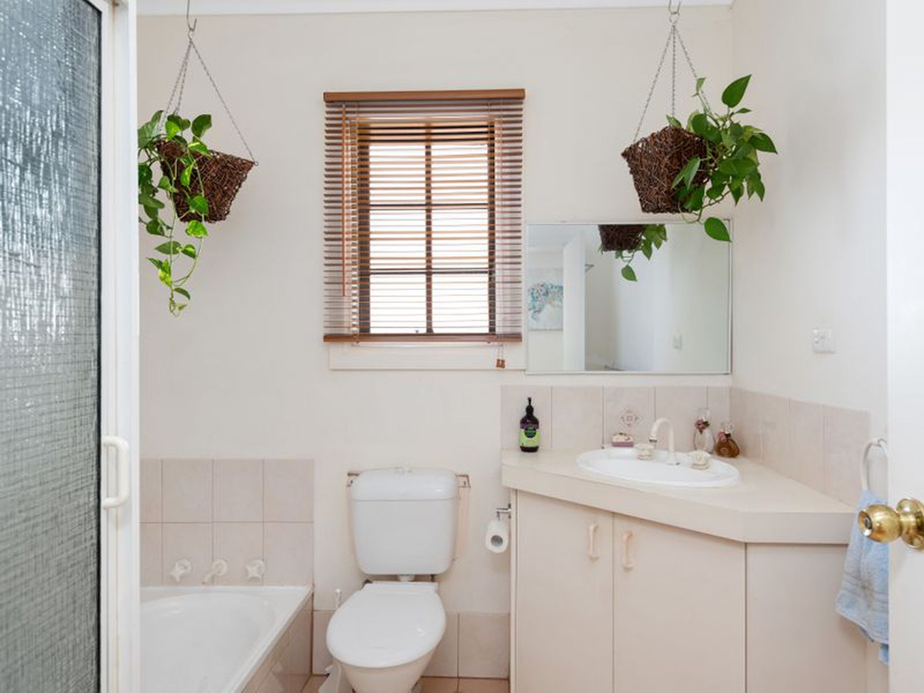 10 Lewis Street, Lamington