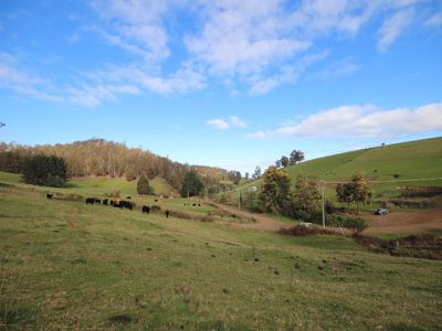 Lot 2, 440 Forsters Rivulet Road, Lymington