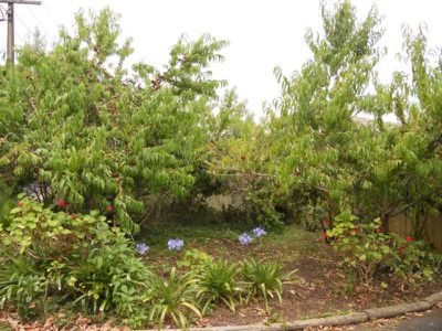 5 Foote Street , Mount Gambier