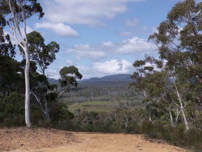 14 Ningee Nimbell Creek Road, Braidwood