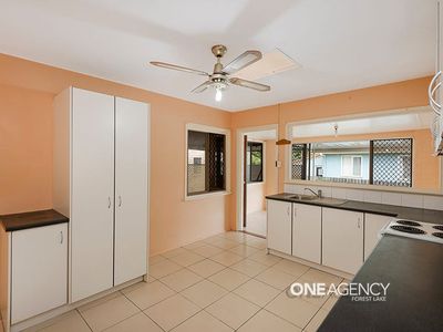 46 Lorikeet Street, Inala