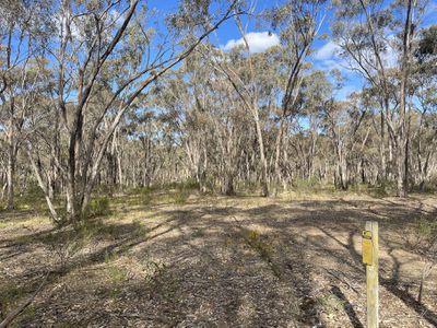 CA 37H Olympic Parade, Maiden Gully