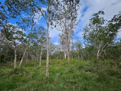 Lot 6, . Endeavour Valley Road, Cooktown