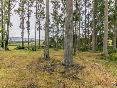 1907 Cygnet Coast Road, Cradoc
