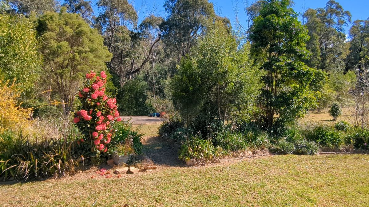 115 Gulph Creek Road, Nerrigundah