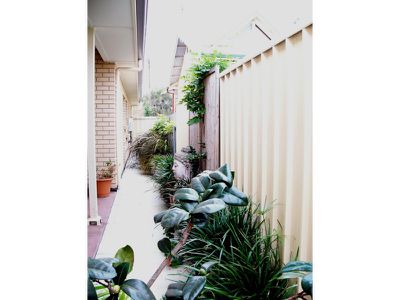 9 Wooton Road, Edwardstown