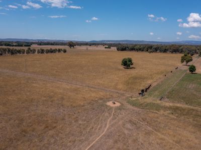 1047 Great Alpine Road, Tarrawingee