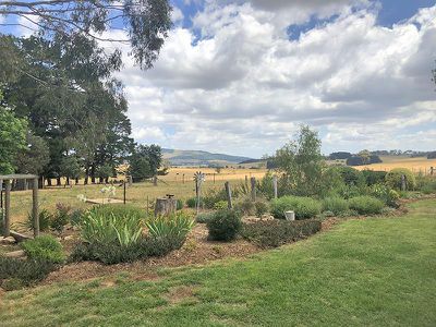 668 Barry Road, Neville