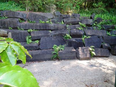 2 / 12 Inlet Drive, Tweed Heads