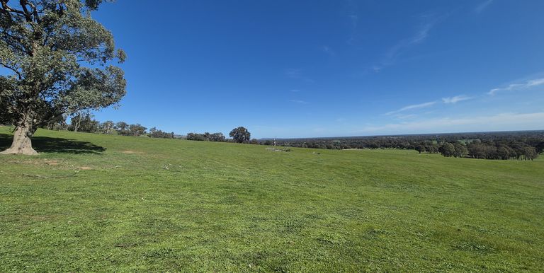 Lot 1  10 Dunnings Road, Balmattum