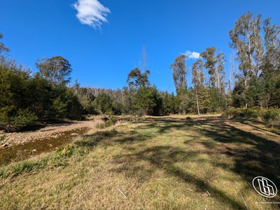 115 Gulph Creek Road, Nerrigundah