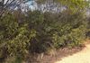 Lot 18493 Tutanning Road, East Pingelly
