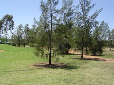 36 Lakeside Circuit, Dubbo