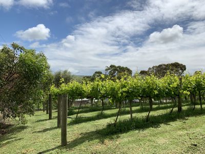 4 Schinckel Street, Rendelsham