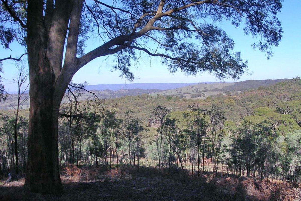 2695 Merton-Euroa Road, Merton