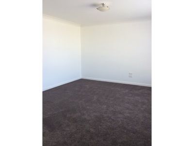 12 Musgrove Ave, Kelso
