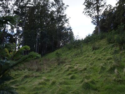 Lot 1 Kalonga Road, Nicholls Rivulet