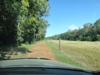 Poison Creek Road, Cooktown