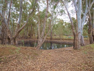 52 Mount View Road, Goldsborough