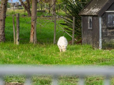 2326 State Highway 16, Helensville