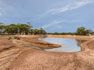 9606 Cunderdin - Quairading Road, Cunderdin