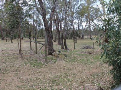 49 Peters Gully Road, Heathcote