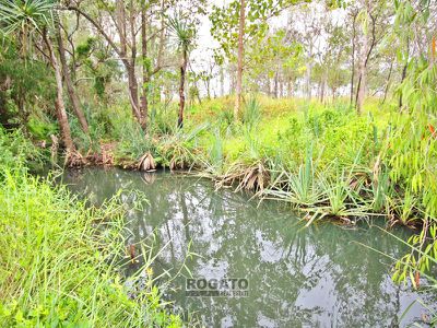 355 Malone Road , Mareeba