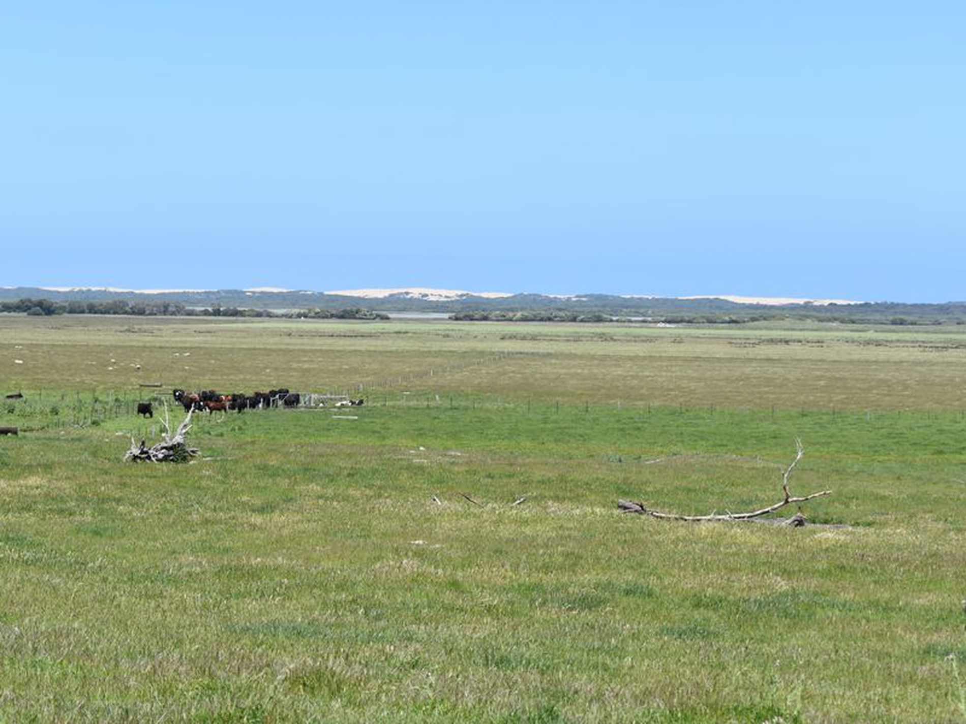 1404 Canunda Frontage Road, Millicent