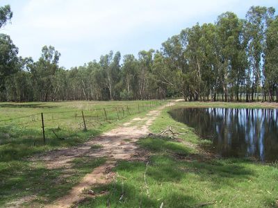 Enfield Street, Corowa