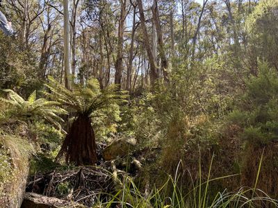 124 Gumms Road, Harolds Cross