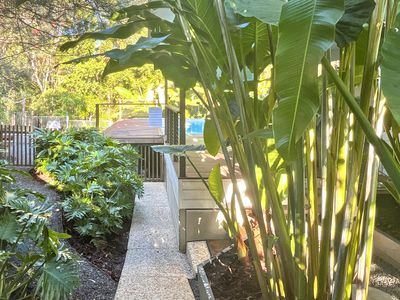 3 Friarbird Place, Pomona