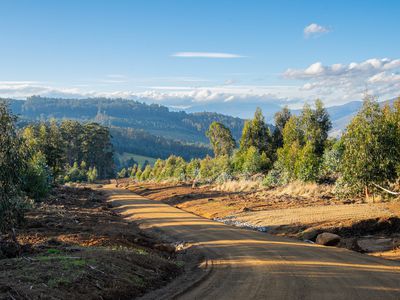 off Paddys Lane , Franklin
