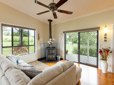 Blackbutt