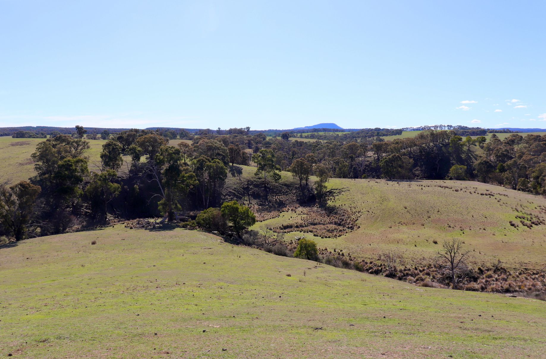 Lot 13, 13A, 13B, 31A &, 31C BRIDGE ROAD, Grenville