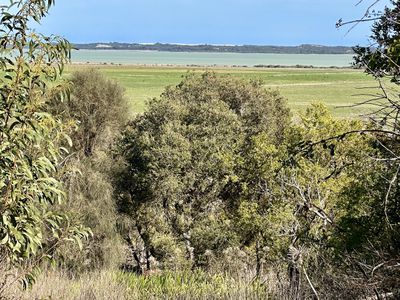 1705 CANUNDA FRONTAGE ROAD, Tantanoola