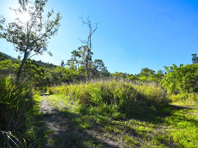 461 Sugarloaf Road, Riordanvale