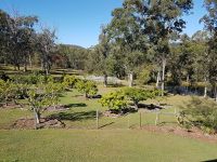 251 WURAGA ROAD, Bahrs Scrub