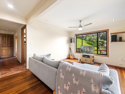 Downstairs / 79 Balmoral Road, Montville